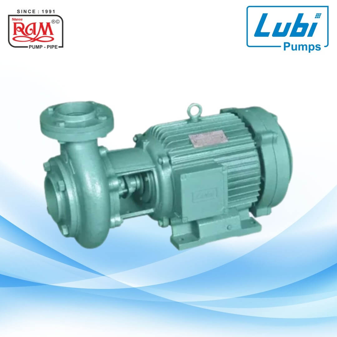 LUBI Centrifugal Monoblock Pump (LBH) (A Class)
